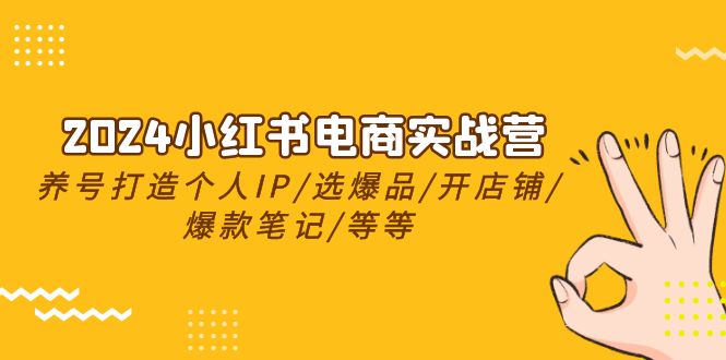 2024小红书电商实战营，养号打造IP/选爆品/开店铺/爆款笔记/等等（24节）网赚项目-副业赚钱-互联网创业-资源整合八方网创
