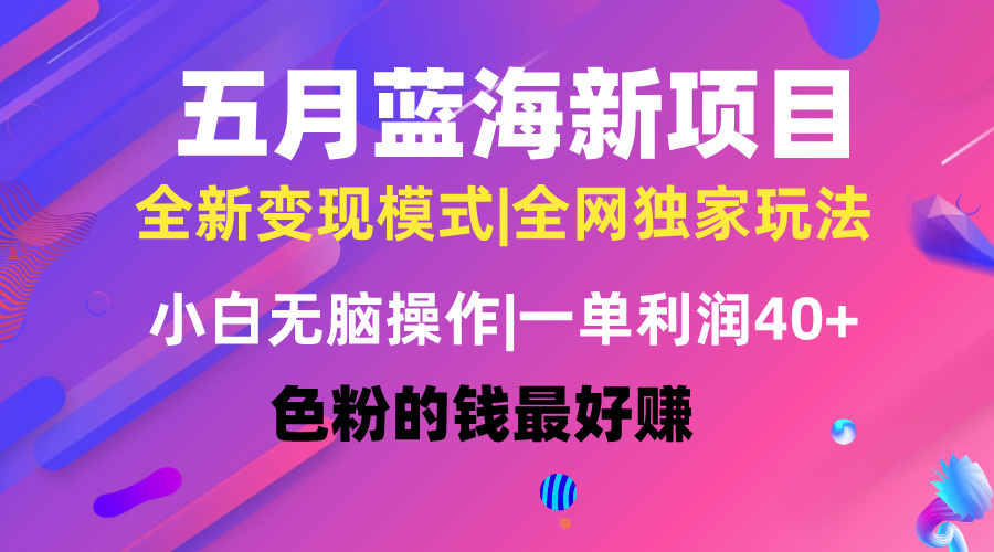 五月蓝海项目全新玩法，小白无脑操作，一天几分钟，矩阵操作，月入4万+网赚项目-副业赚钱-互联网创业-资源整合八方网创