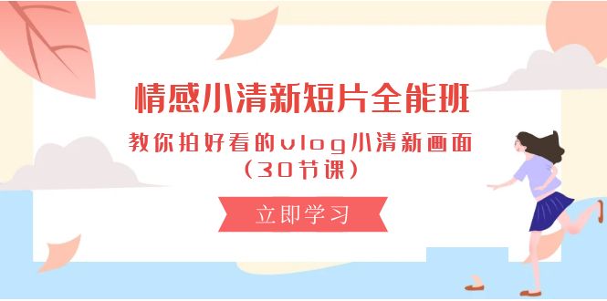 情感 小清新短片-全能班，教你拍好看的vlog小清新画面 (30节课)网赚项目-副业赚钱-互联网创业-资源整合八方网创