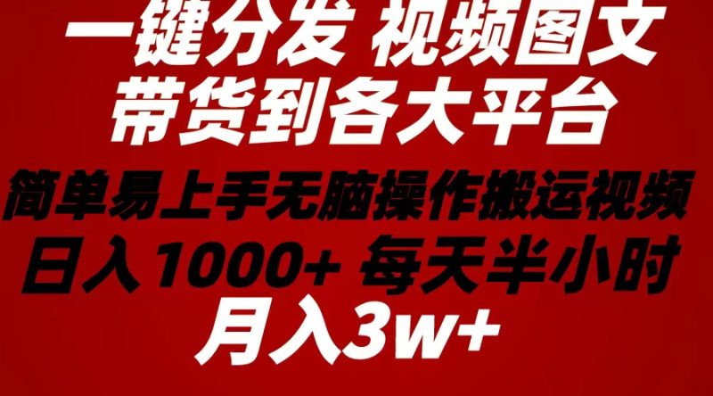 2024年 一键分发带货图文视频  简单易上手 无脑赚收益 每天半小时日入1…网赚项目-副业赚钱-互联网创业-资源整合八方网创