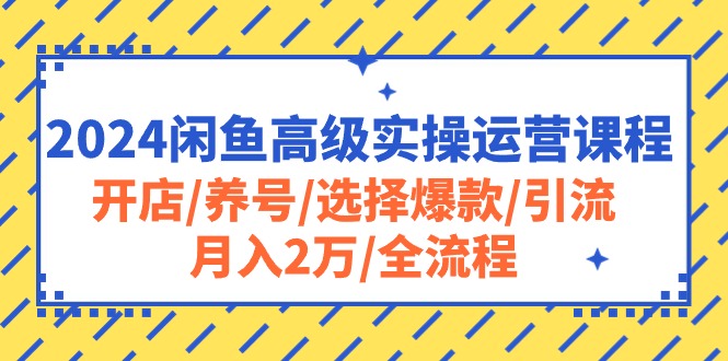 2024闲鱼高级实操运营课程：开店/养号/选择爆款/引流/月入2万/全流程网赚项目-副业赚钱-互联网创业-资源整合八方网创