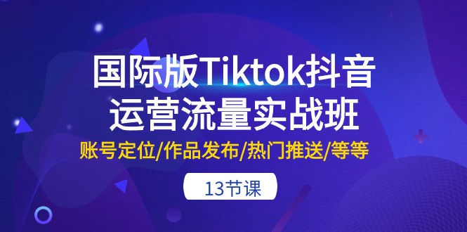 国际版Tiktok抖音运营流量实战班：账号定位/作品发布/热门推送/等等-13节网赚项目-副业赚钱-互联网创业-资源整合八方网创