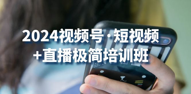 2024视频号·短视频+直播极简培训班：抓住视频号风口，流量红利网赚项目-副业赚钱-互联网创业-资源整合八方网创