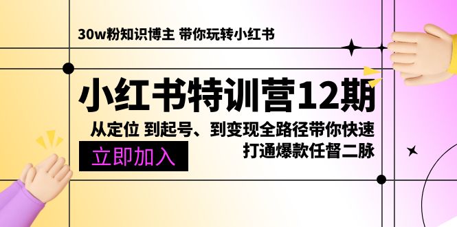 小红书特训营12期：从定位 到起号、到变现全路径带你快速打通爆款任督二脉网赚项目-副业赚钱-互联网创业-资源整合八方网创
