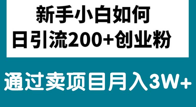 新手小白日引流200+创业粉,通过卖项目月入3W+网赚项目-副业赚钱-互联网创业-资源整合八方网创