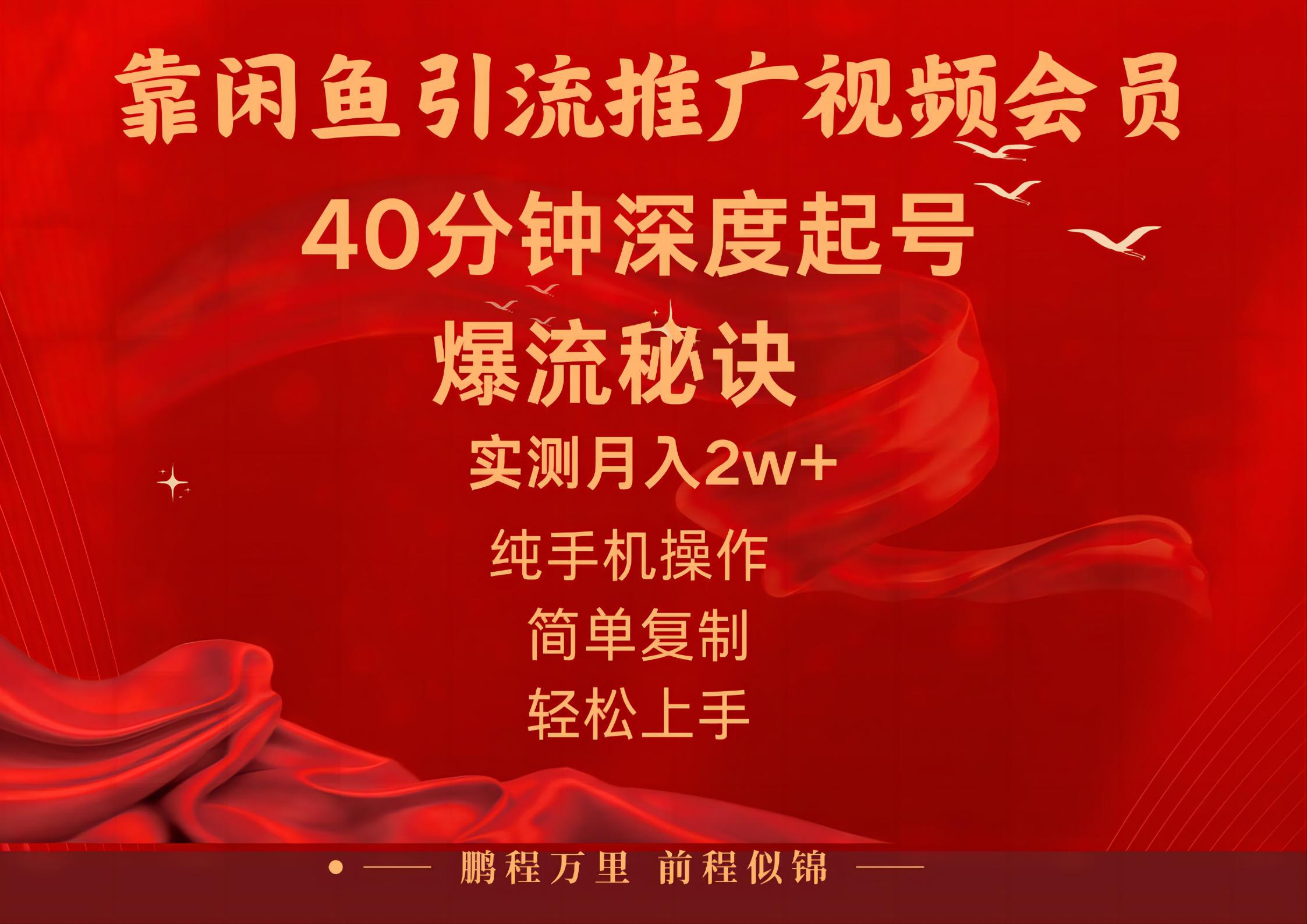 闲鱼暴力引流推广视频会员，能做到日入2W+，操作简单网赚项目-副业赚钱-互联网创业-资源整合八方网创