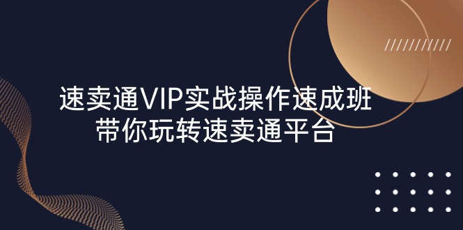 速卖通 VIP实战操作-速成班，带你玩转速卖通平台（23节）网赚项目-副业赚钱-互联网创业-资源整合八方网创