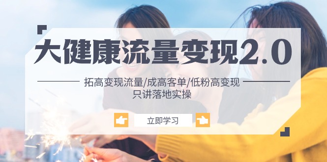 大健康 流量 变现2.0：拓高变现 流量/成高客单/低粉高变现/只讲落地实战网赚项目-副业赚钱-互联网创业-资源整合八方网创