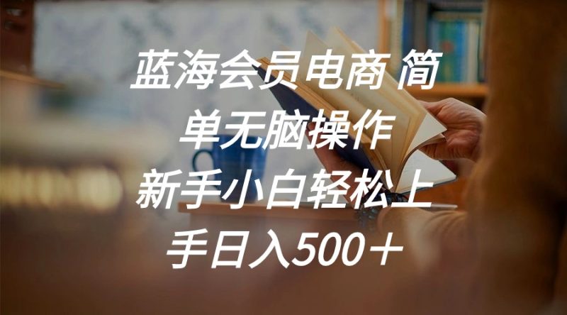 蓝海会员电商 简单无脑操作 新手小白轻松上手日入500＋网赚项目-副业赚钱-互联网创业-资源整合八方网创