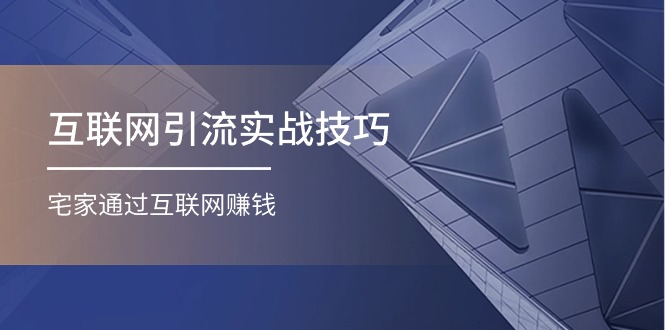 互联网引流实操技巧(适合微商，吸引宝妈)，宅家通过互联网赚钱（17节）网赚项目-副业赚钱-互联网创业-资源整合八方网创