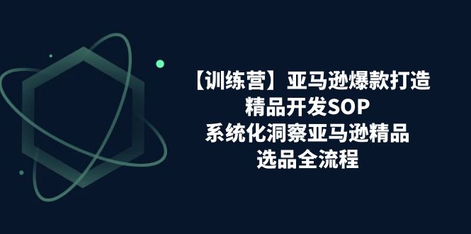 【训练营】亚马逊爆款打造之精品开发SOP，系统化洞察亚马逊精品选品全流程网赚项目-副业赚钱-互联网创业-资源整合八方网创