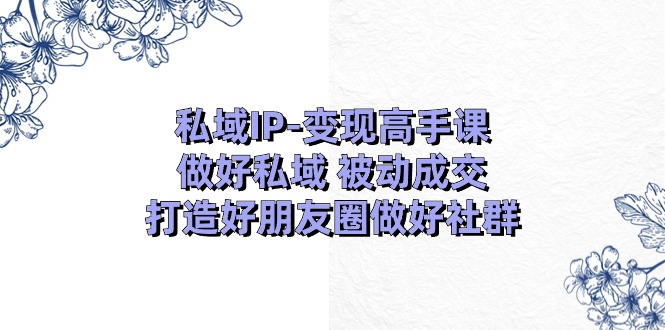 私域IP-变现高手课：做好私域 被动成交，打造好朋友圈做好社群（18节）网赚项目-副业赚钱-互联网创业-资源整合八方网创