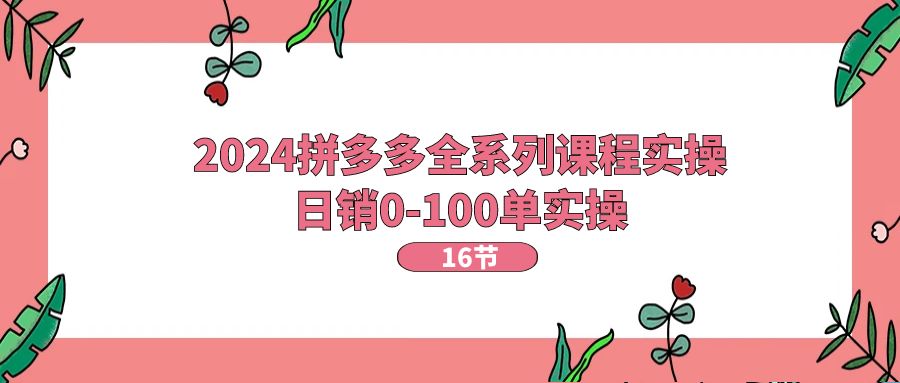 2024拼多多全系列课程实操，日销0-100单实操【16节课】网赚项目-副业赚钱-互联网创业-资源整合八方网创