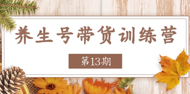 养生号-带货训练营【第13期】收益更稳定的玩法，让你带货收益爆炸网赚项目-副业赚钱-互联网创业-资源整合八方网创