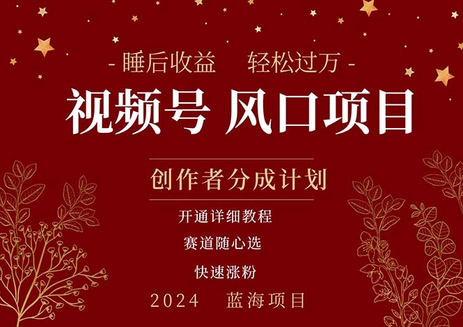 拥有睡眠收益的微信视频号大风口项目，轻松月入过万+，多赛道选择，可…网赚项目-副业赚钱-互联网创业-资源整合八方网创