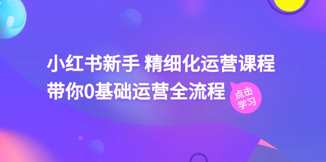 小红书新手 精细化运营课程，带你0基础运营全流程（41节视频课）网赚项目-副业赚钱-互联网创业-资源整合八方网创