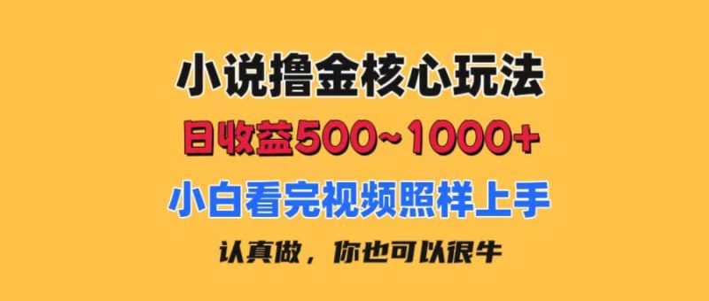 小说撸金核心玩法，日收益500-1000+，小白看完照样上手，0成本有手就行网赚项目-副业赚钱-互联网创业-资源整合八方网创