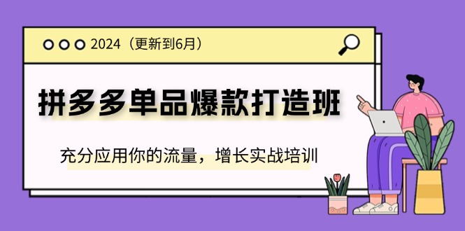2024拼多多-单品爆款打造班(更新6月)，充分应用你的流量，增长实战培训网赚项目-副业赚钱-互联网创业-资源整合八方网创