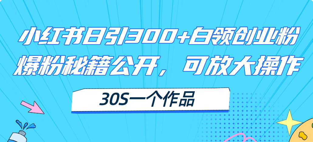 小红书日引300+高质白领创业粉，可放大操作，爆粉秘籍！30s一个作品网赚项目-副业赚钱-互联网创业-资源整合八方网创