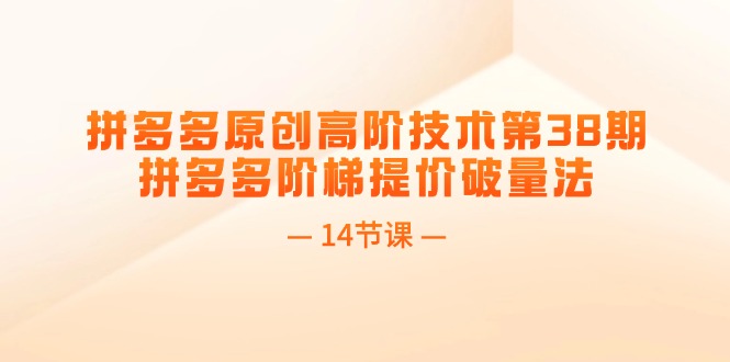 拼多多原创高阶技术第38期，拼多多阶梯提价破量法（14节课）网赚项目-副业赚钱-互联网创业-资源整合八方网创