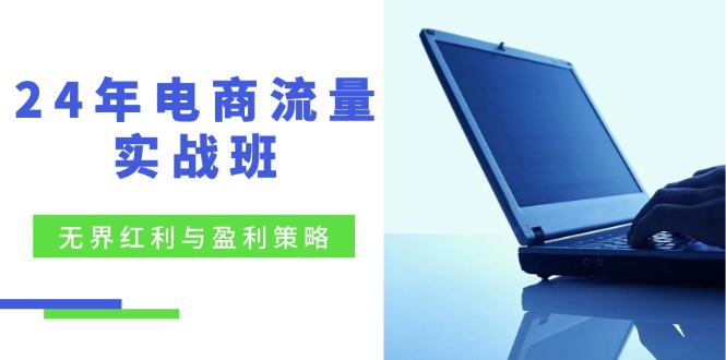 24年电商流量实战班：无界 红利与盈利策略，终极提升/关键词优化/精准…网赚项目-副业赚钱-互联网创业-资源整合八方网创