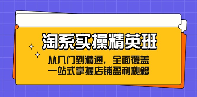 淘系实操精英班：从入门到精通，全面覆盖，一站式掌握店铺盈利秘籍网赚项目-副业赚钱-互联网创业-资源整合八方网创