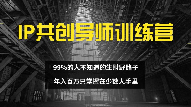 IP共创导师训练营 99%的人不知道的生财野路子 只掌握在少数人手里网赚项目-副业赚钱-互联网创业-资源整合八方网创