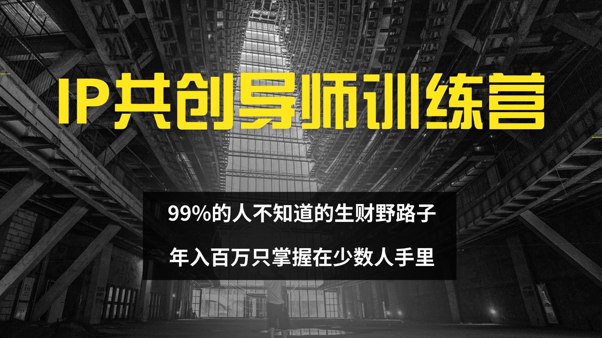 IP共创导师训练营 99%的人不知道的生财野路子 只掌握在少数人手里网赚项目-副业赚钱-互联网创业-资源整合八方网创
