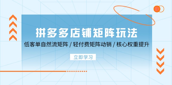 拼多多店铺矩阵玩法：低客单自然流矩阵 / 轻付费矩阵 动销 / 核心权重提升网赚项目-副业赚钱-互联网创业-资源整合八方网创