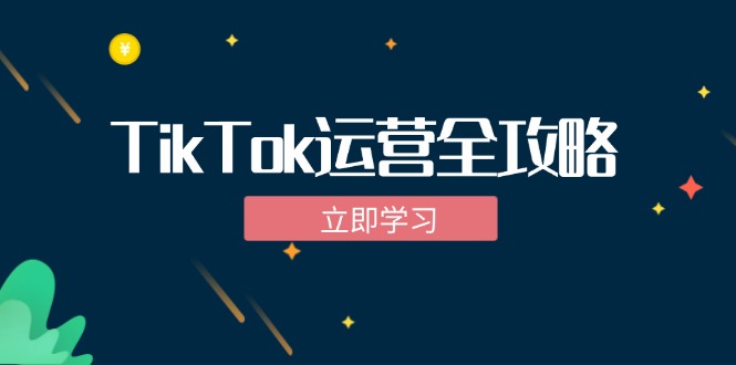 TikTok实战运营全攻略：从下载软件到变现，抖音海外版实操教程网赚项目-副业赚钱-互联网创业-资源整合八方网创