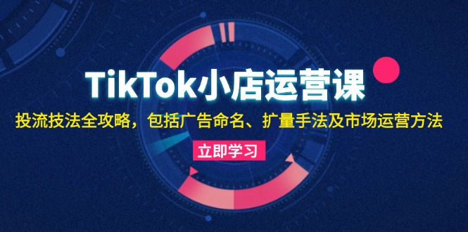 TikTok小店运营课：投流技法全攻略，包括广告命名 扩量手法及市场运营方法网赚项目-副业赚钱-互联网创业-资源整合八方网创