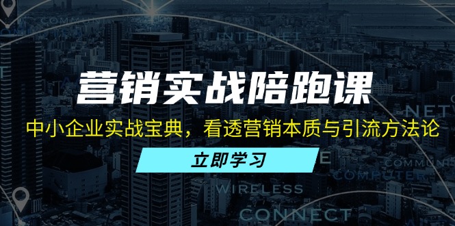 营销实战陪跑课：中小企业实战宝典，看透营销本质与引流方法论网赚项目-副业赚钱-互联网创业-资源整合八方网创