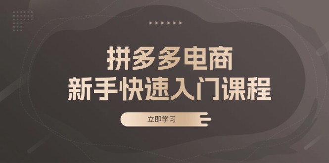 拼多多电商新手快速入门课程：涵盖基础、实战与选款，助力小白轻松上手网赚项目-副业赚钱-互联网创业-资源整合八方网创