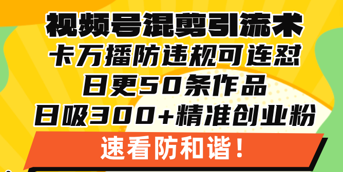 视频号混剪引流技术，500万播放引流17000创业粉，操作简单当天学会网赚项目-副业赚钱-互联网创业-资源整合八方网创