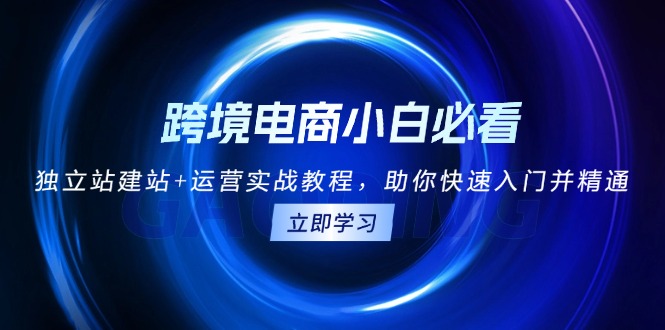 跨境电商小白必看！独立站建站+运营实战教程，助你快速入门并精通网赚项目-副业赚钱-互联网创业-资源整合八方网创