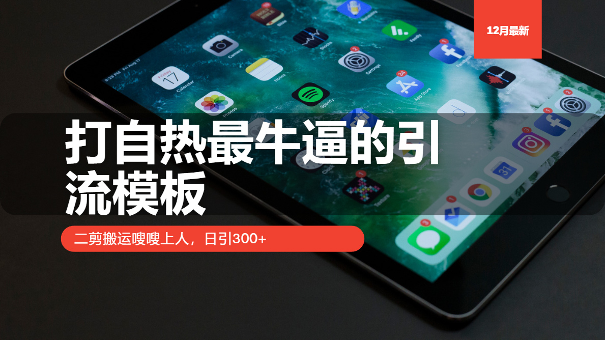 打自热最牛逼的引流模板，二剪搬运嗖嗖上人，日引300+网赚项目-副业赚钱-互联网创业-资源整合八方网创