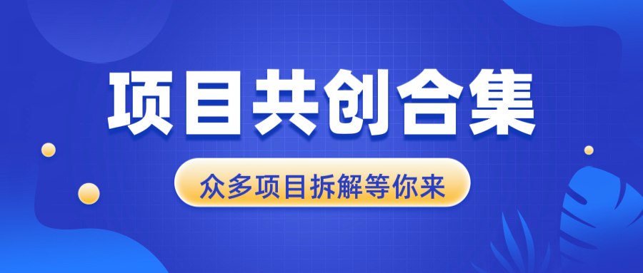 项目共创合集，从0-1全过程拆解，让你迅速找到适合自已的项目网赚项目-副业赚钱-互联网创业-资源整合八方网创