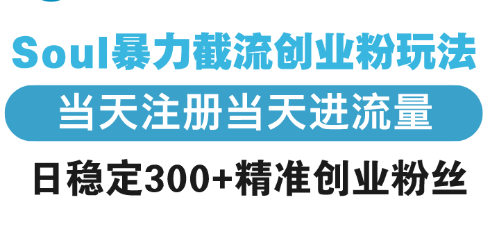 Soul暴力截流创业粉玩法，当天注册当天进流量，日稳定300+精准创业粉丝网赚项目-副业赚钱-互联网创业-资源整合八方网创