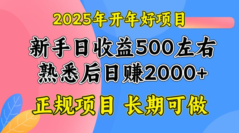2025开年好项目,单号日收益2000左右网赚项目-副业赚钱-互联网创业-资源整合八方网创