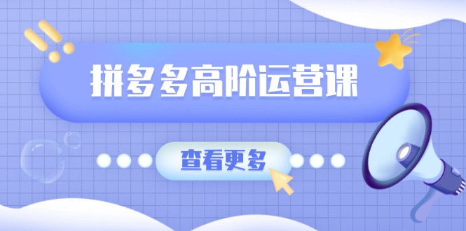 拼多多高阶运营课：极致群爆款玩法，轻付费无尽复制，打造单品爆款之路网赚项目-副业赚钱-互联网创业-资源整合八方网创