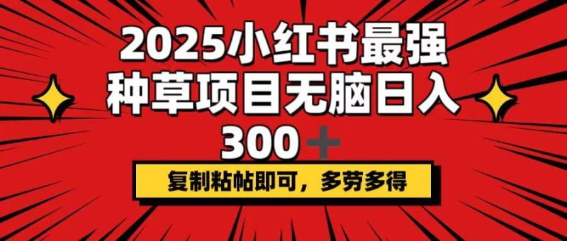 2025小红书最强种草项目,无脑日入300+,复制粘帖即可,多劳多得网赚项目-副业赚钱-互联网创业-资源整合八方网创