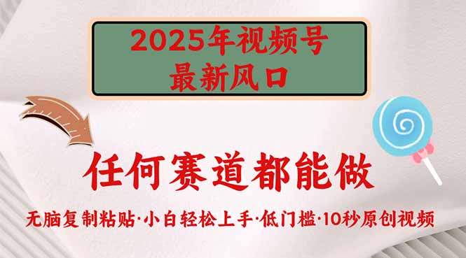 2025年视频号新风口，低门槛只需要无脑执行网赚项目-副业赚钱-互联网创业-资源整合八方网创