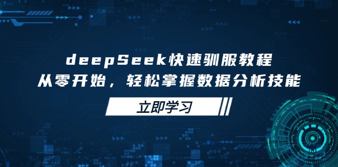 deepSeek快速驯服教程，从零开始，轻松掌握数据分析技能网赚项目-副业赚钱-互联网创业-资源整合八方网创