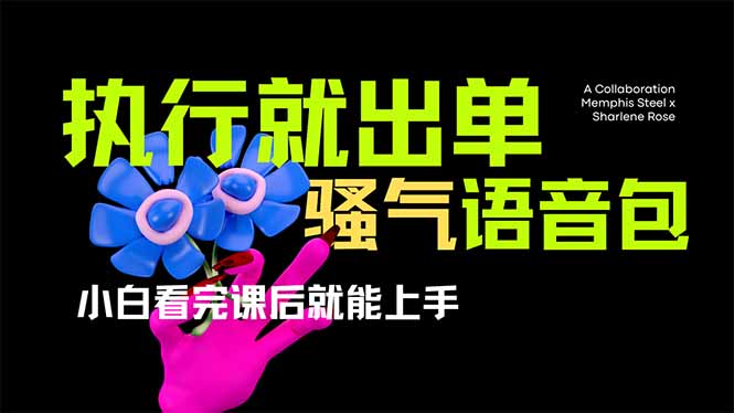 爆火全网的开车导航骚气语音包,只要执行就出单，小白看完课程就能实操…网赚项目-副业赚钱-互联网创业-资源整合八方网创