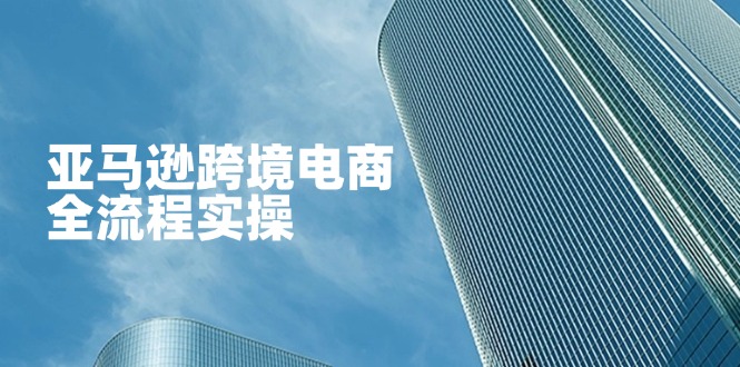亚马逊跨境电商全流程实操，教你从零开始，掌握店铺运营与广告技巧网赚项目-副业赚钱-互联网创业-资源整合八方网创
