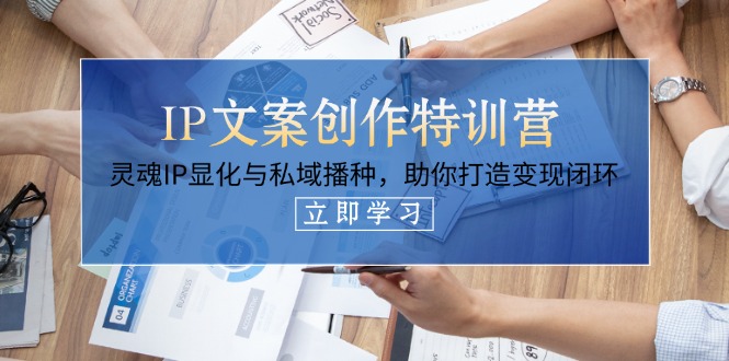 IP文案创作特训营，灵魂IP显化与私域播种，助你打造变现闭环（14节课）网赚项目-副业赚钱-互联网创业-资源整合八方网创