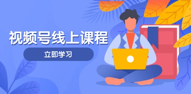 视频号实战课程，轻IP打造与运营技巧，掌握核心方法与策略网赚项目-副业赚钱-互联网创业-资源整合八方网创