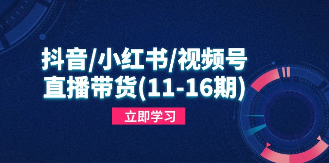 抖音/小红书/视频号/直播带货（11-16期），快速掌握平台规则，打造爆款内容网赚项目-副业赚钱-互联网创业-资源整合八方网创
