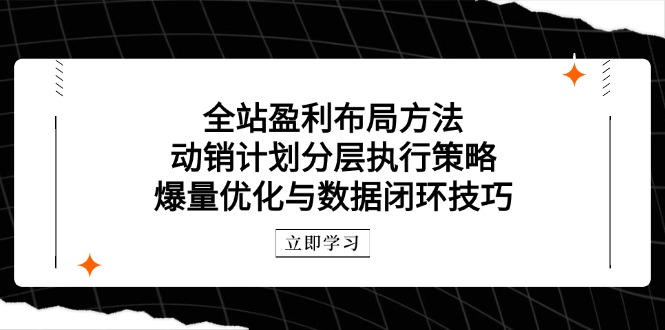 全站盈利布局方法：动销计划分层执行策略，爆量优化与数据闭环技巧网赚项目-副业赚钱-互联网创业-资源整合八方网创