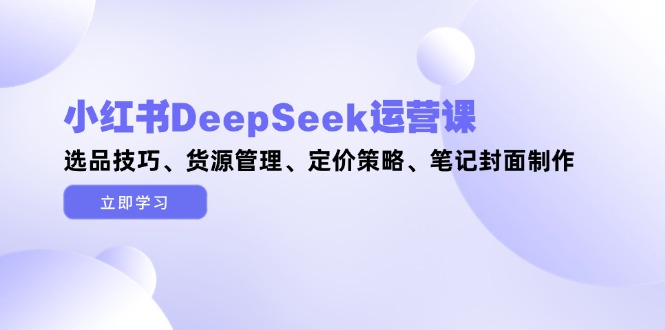 小红书DeepSeek运营课，选品技巧、货源管理、定价策略、笔记封面制作网赚项目-副业赚钱-互联网创业-资源整合八方网创